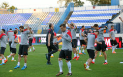 Hrvatska reprezentacija,Ivica Olić