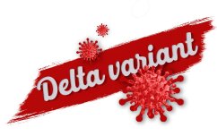 Delta varijanta