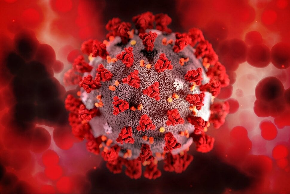 Korona virus