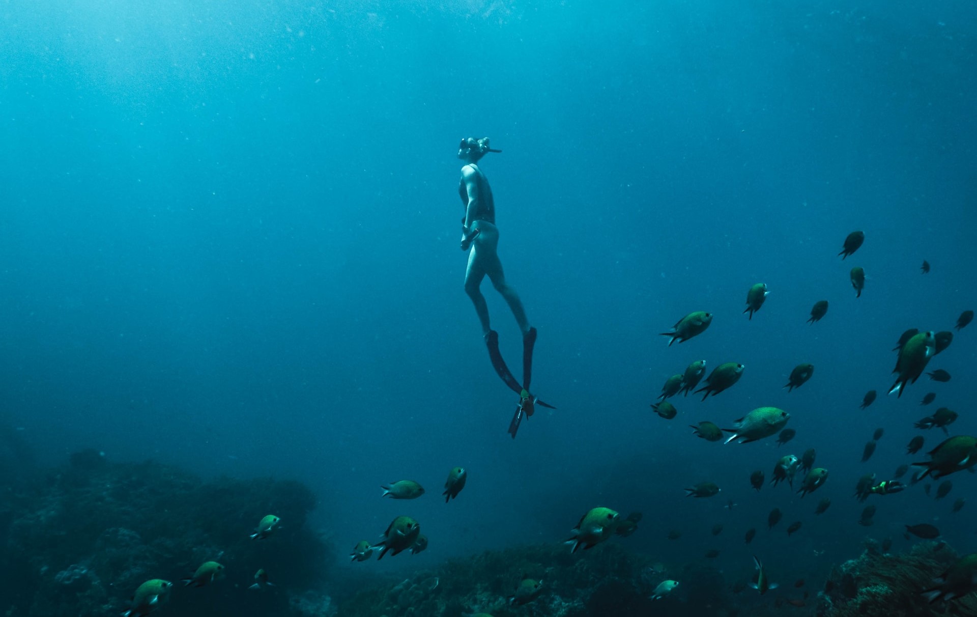 Deep dive. Глубокое погружение. Под водой живет народ. Жить под водой способен. Глубокое погружение в работу.