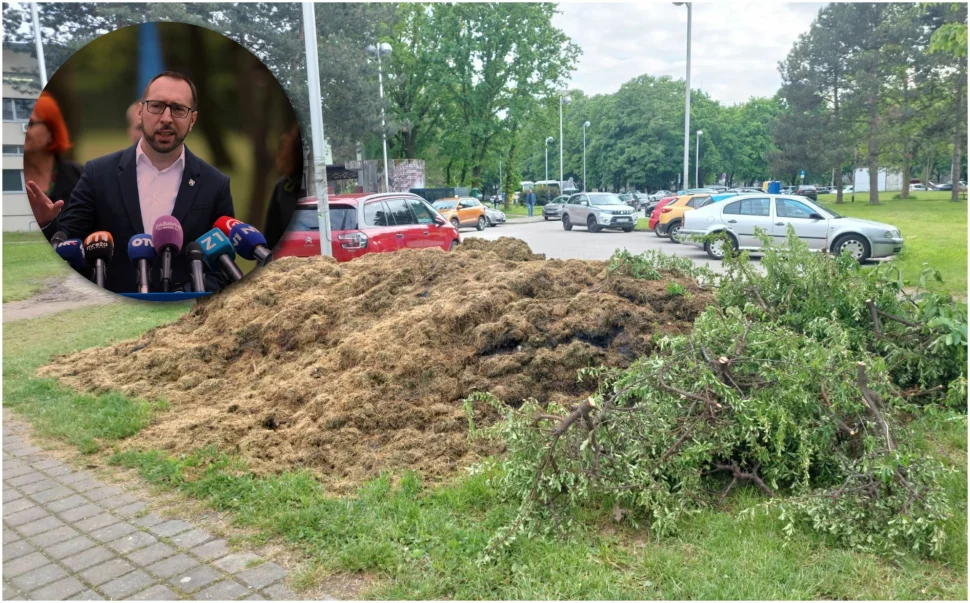 Nesnosan Smrad Iri Se Zagrebom Trava Je Poko Ena Ali Problem Je Ne To Drugo