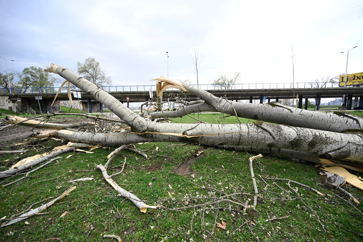 Zagrebački holding oglasio se oko nevremena: Imaju četiri dana do početka nastave
