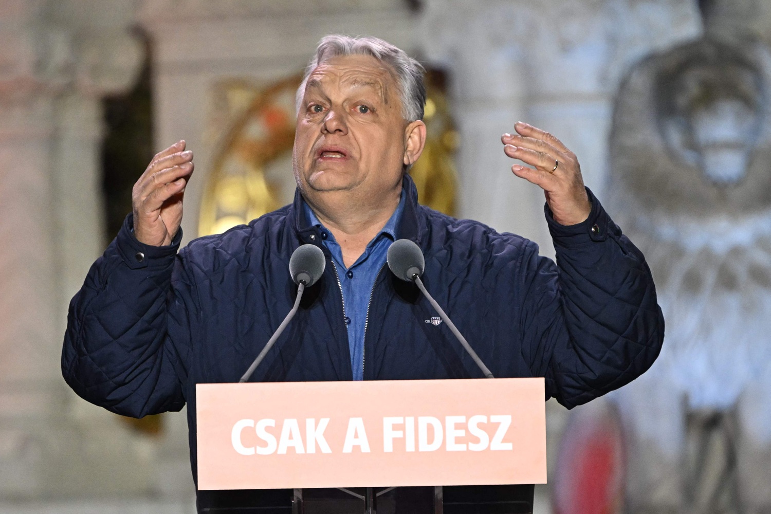 Petrović ukazala na detalj uoči izbora u Mađarskoj vezan uz Hrvatsku: 'To se ne komentira'