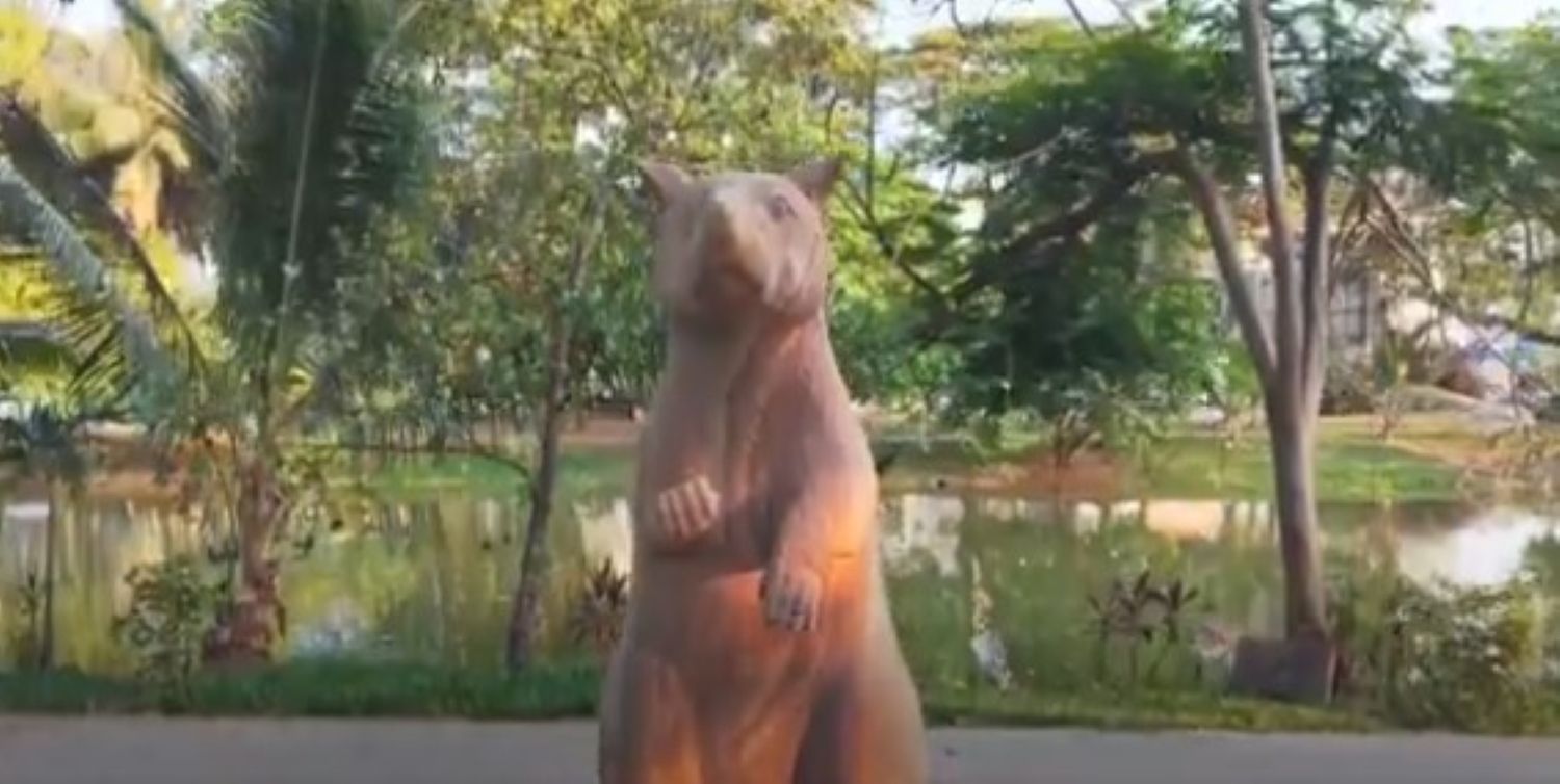 Štakor obučen za pronalazak mina dobio svoj kip: Ovako je otkrivao eksploziv