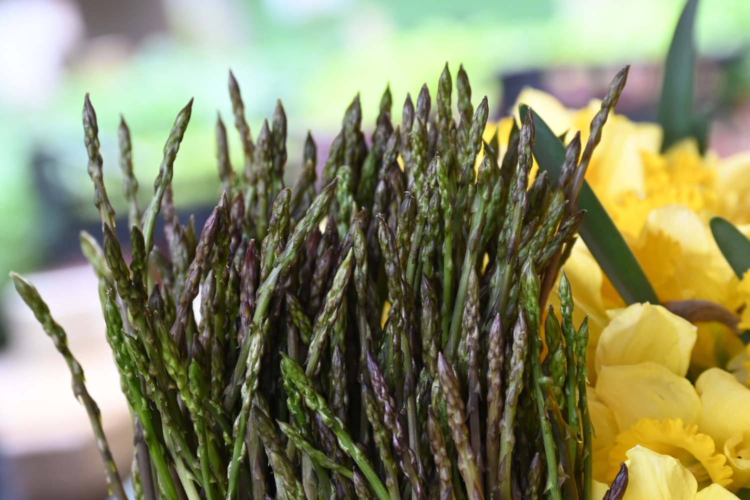 Gorčina šparoga nestaje uz ovaj jednostavan korak prije pripreme