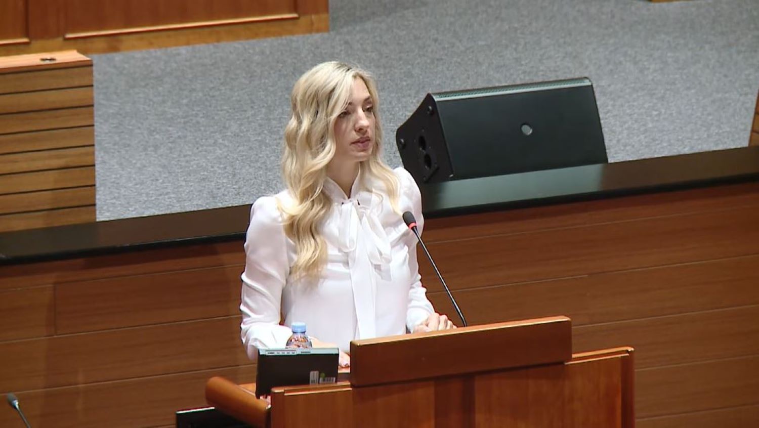 SDP-ova zastupnica na rubu suza u Saboru: 'Ovo se svakako ne smije zaboraviti'