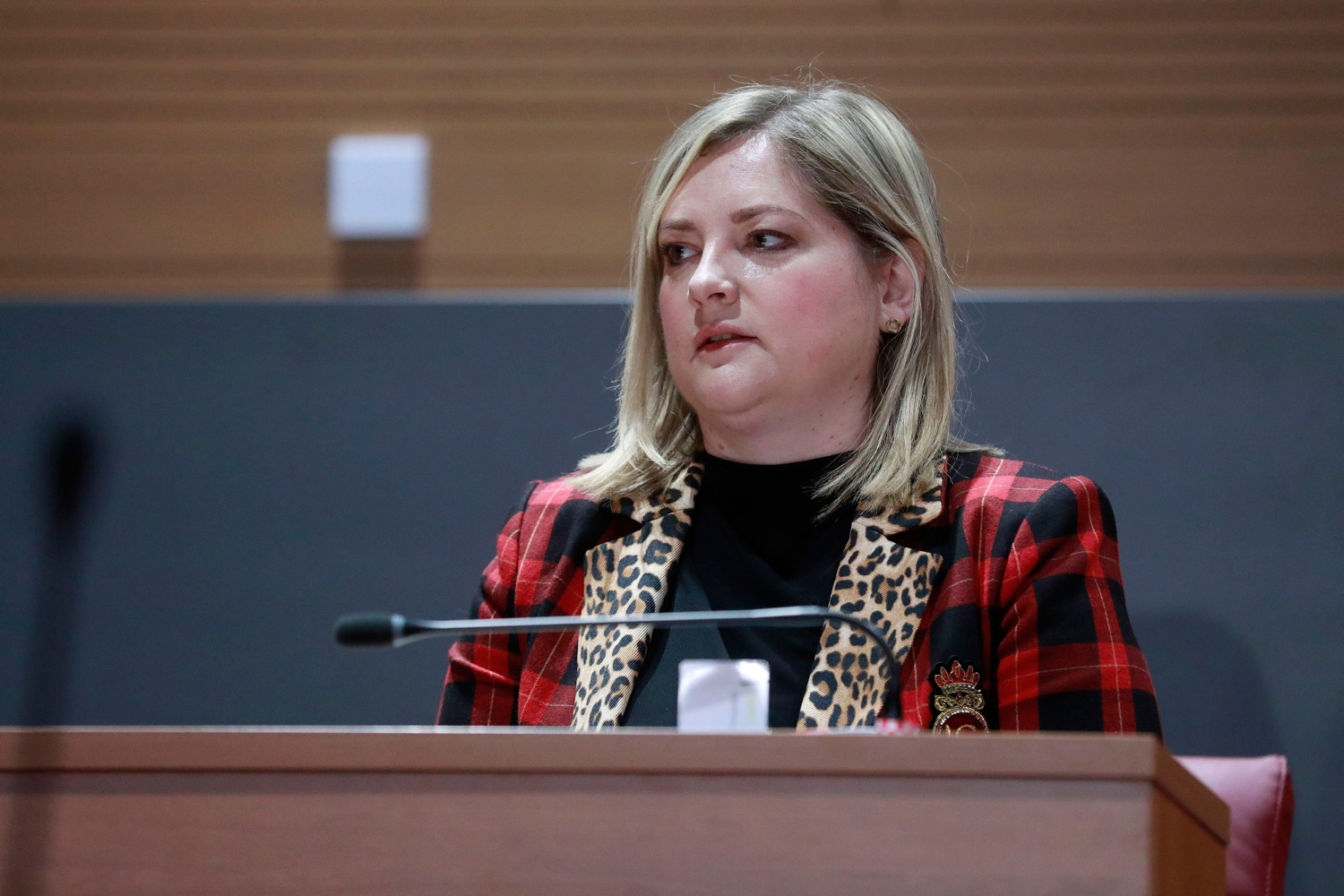 Šimpraga upozorila u Saboru: 'To nije sitni prekršaj već usk