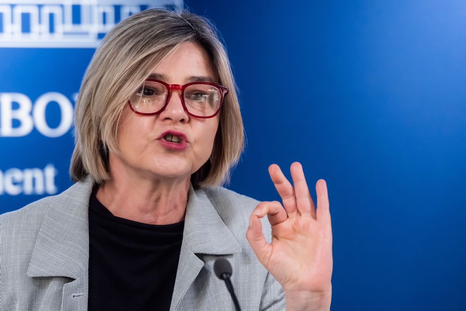 Žustro u Saboru: 'Možda bih i ja bila frustrirana 